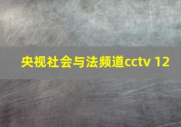 央视社会与法频道cctv 12